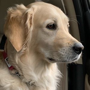 Meet your Posher, Kara